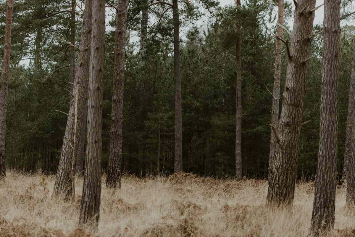 Відгук від Олени